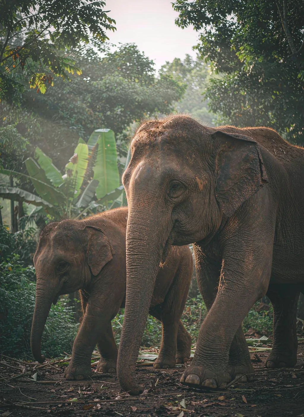 Thailand with a Family