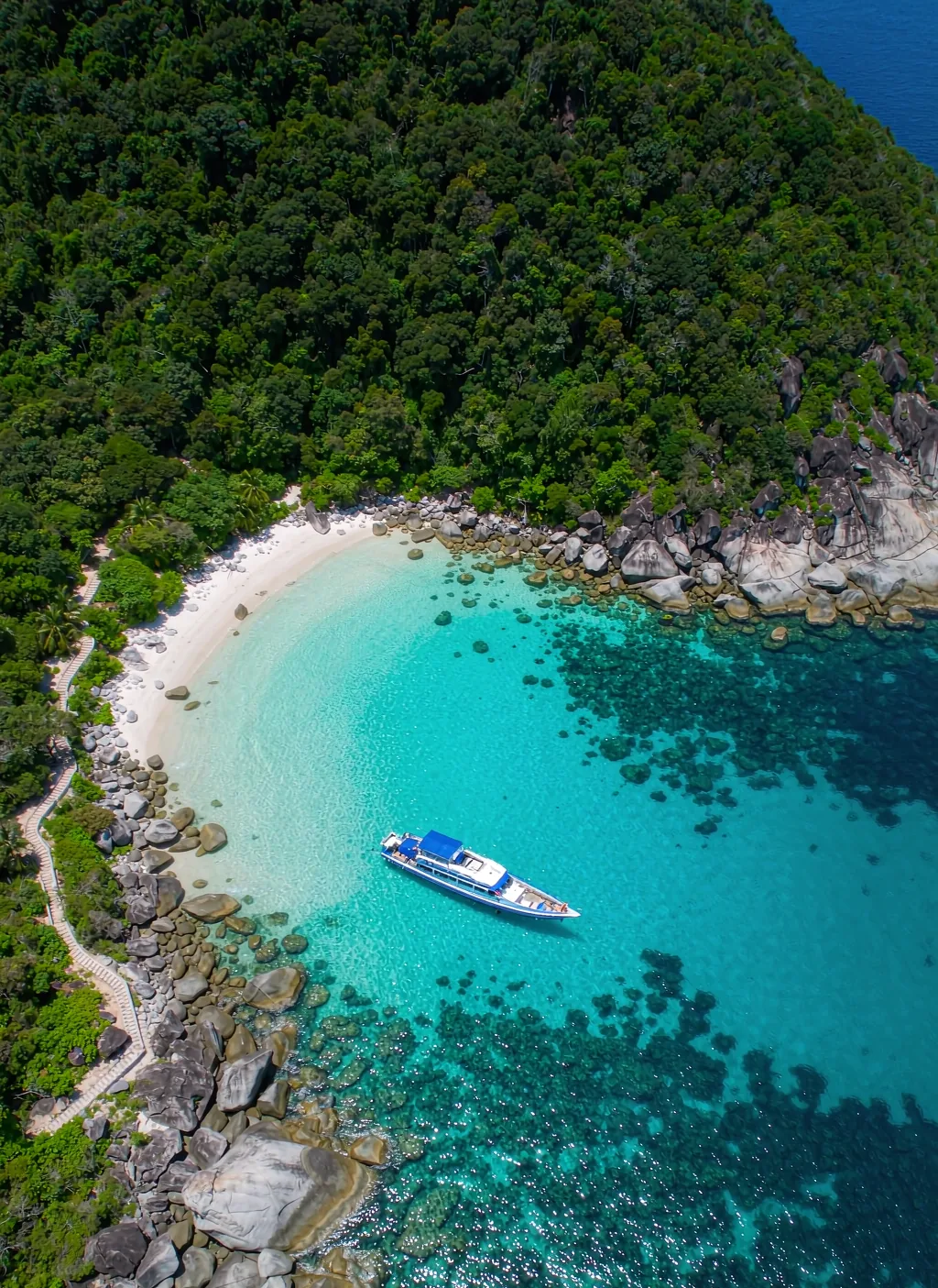 Koh Tao Dive Week